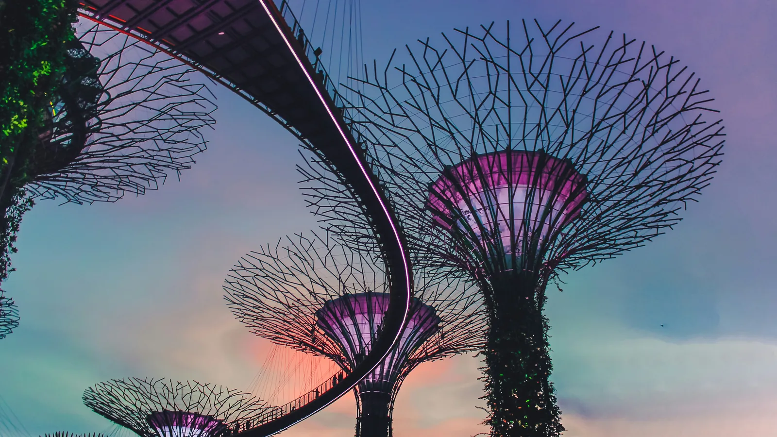 Gardens by the Bay Supertrees representing the Singapore starting point