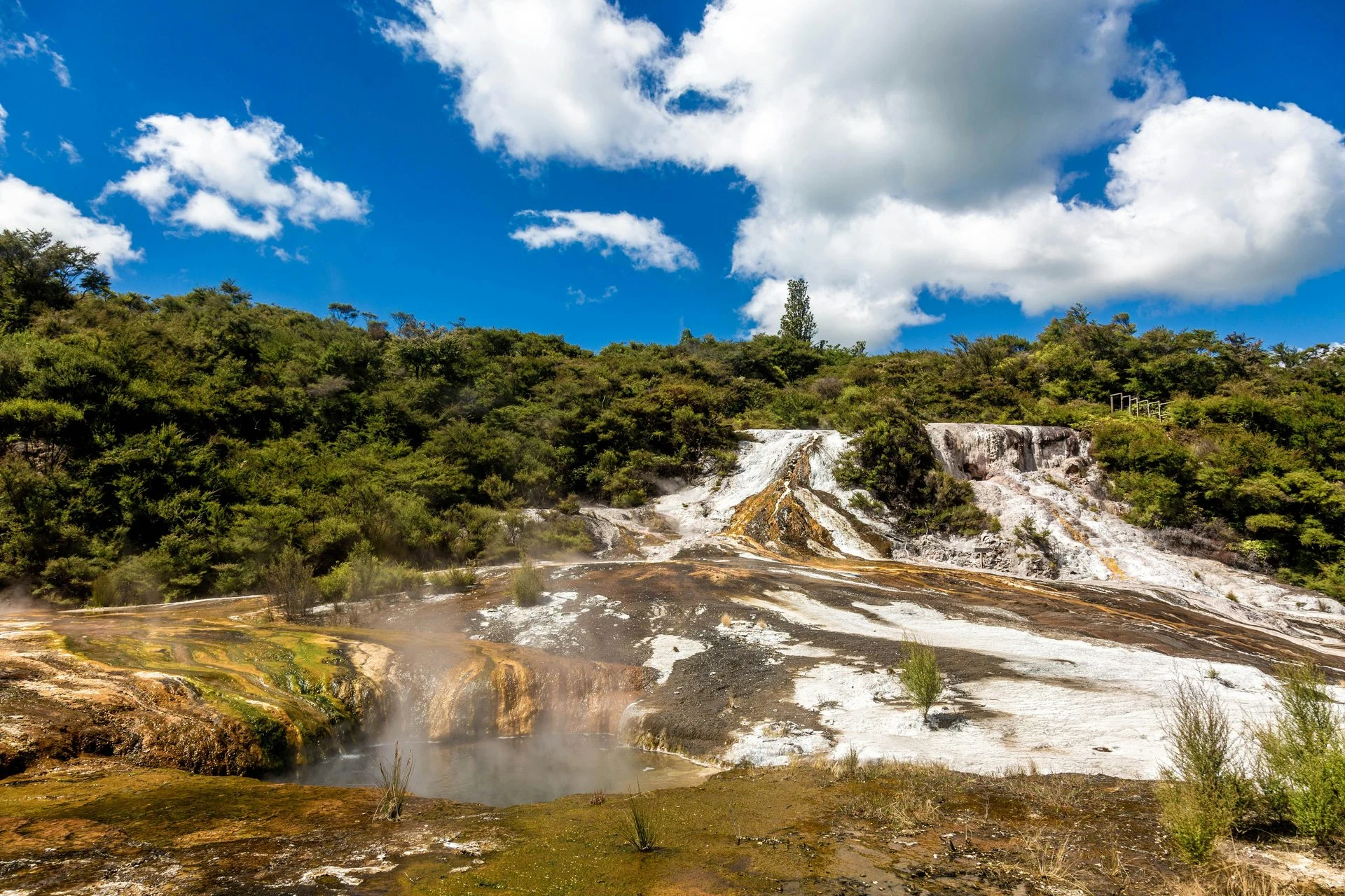 Rotorua lakes and hills on a Te Puia cultural day