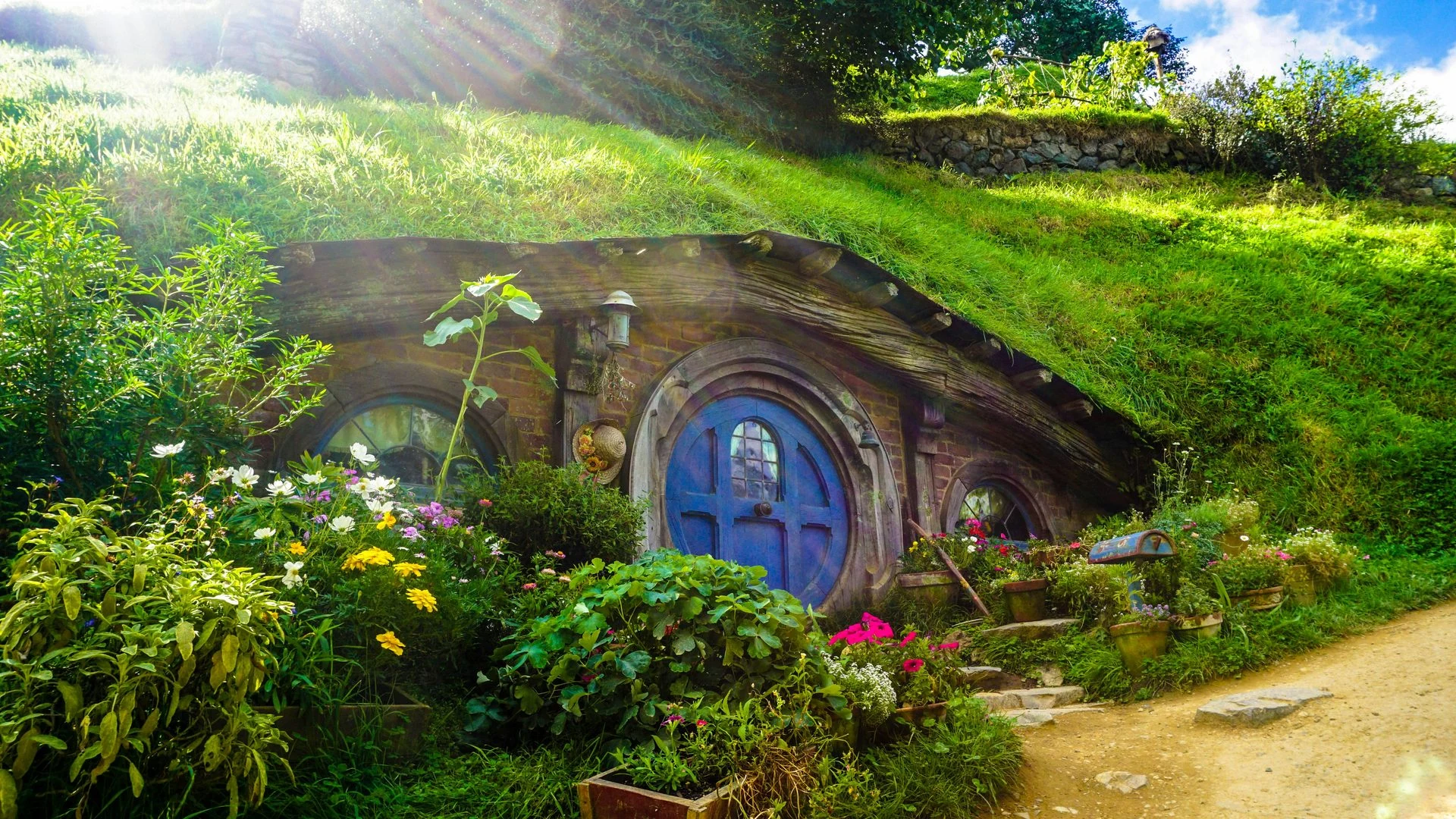 Waikato farmland on a Hobbiton and Rotorua combination day